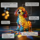 Poodle'i graatsiline võlu